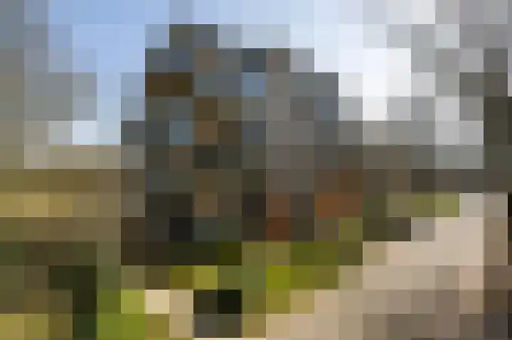 Dopheidelaan 102 Hilversum thumbnail 50