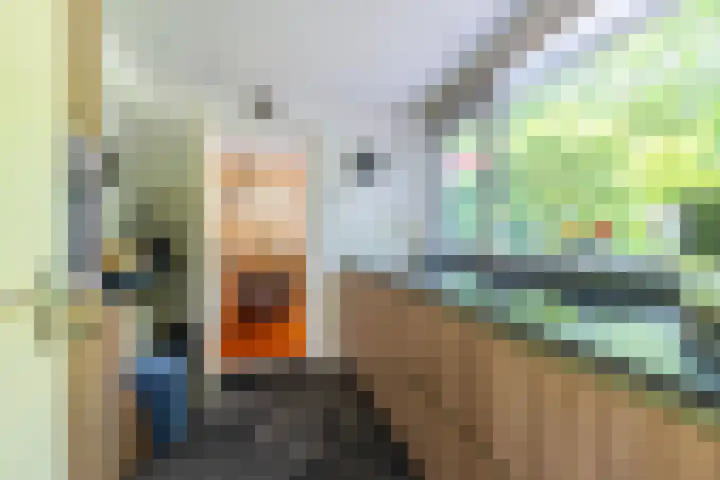 Dopheidelaan 18 Heelsum thumbnail 15
