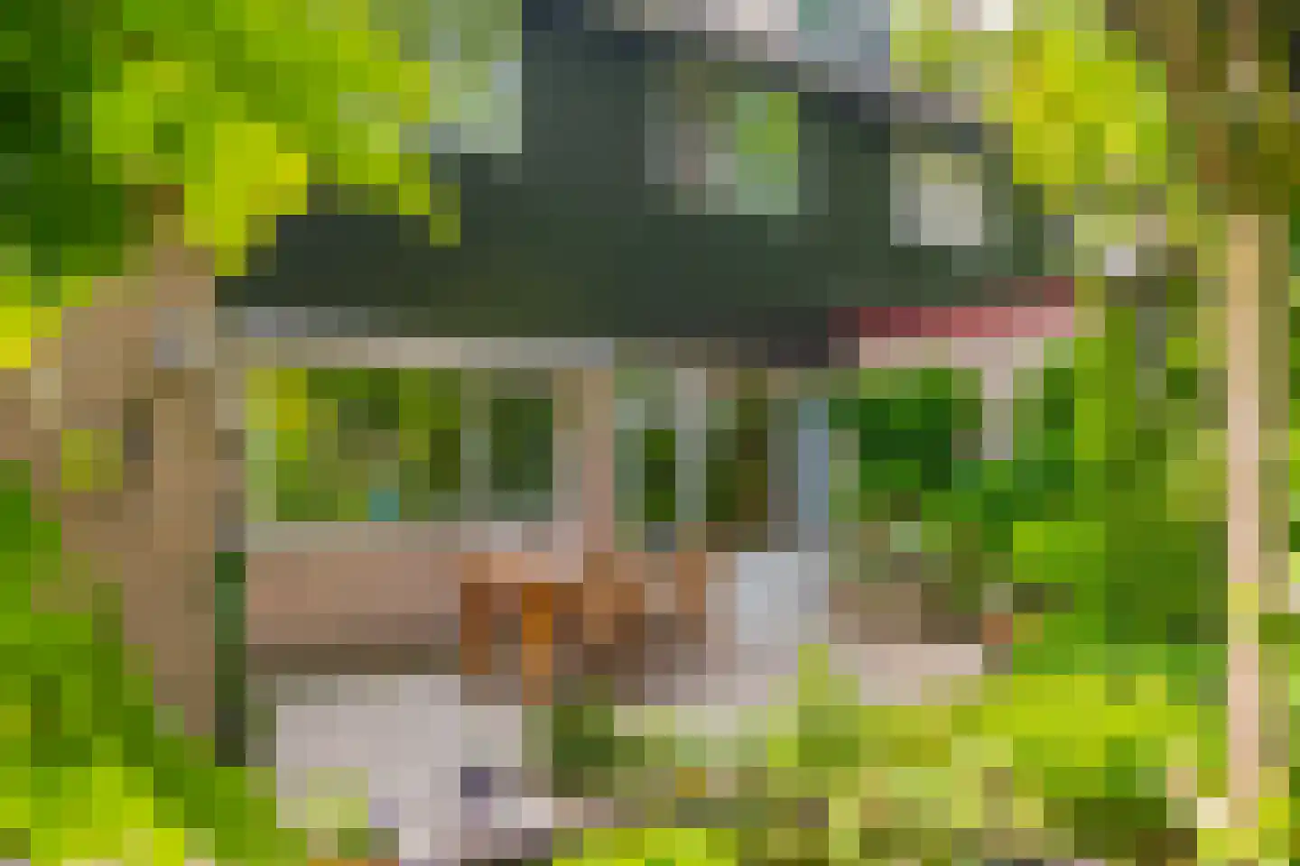 Dopheidelaan 18 Heelsum thumbnail 19