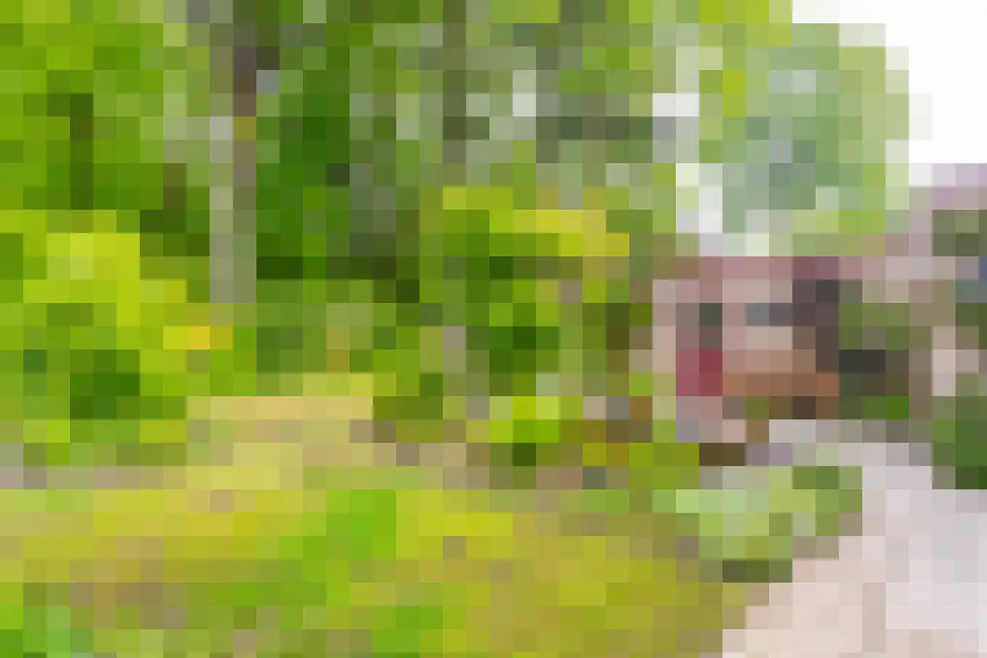 Dopheidelaan 18 Heelsum thumbnail 22