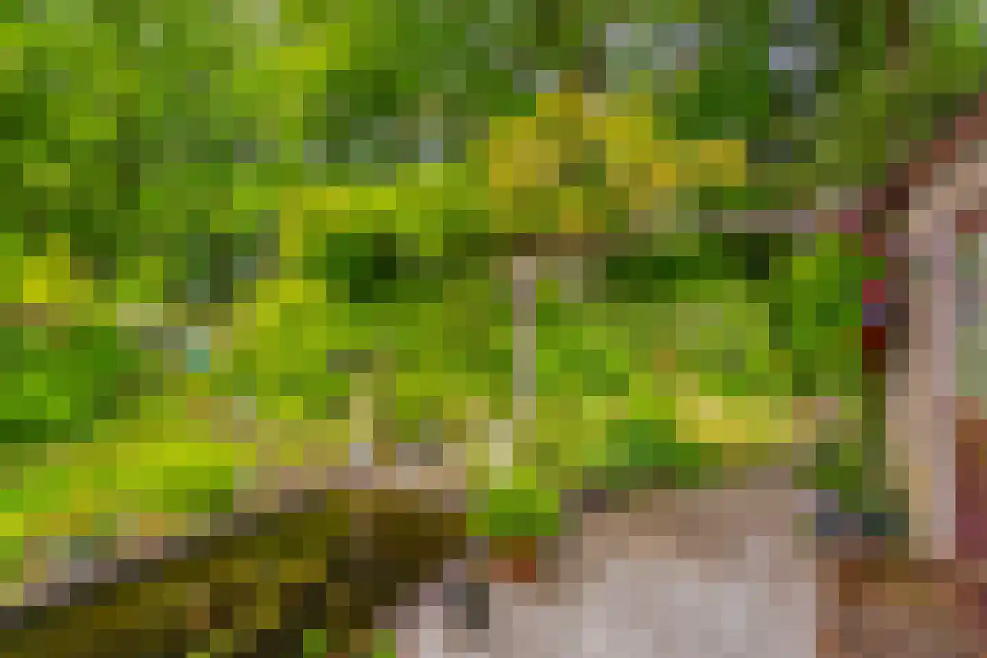 Dopheidelaan 18 Heelsum thumbnail 23