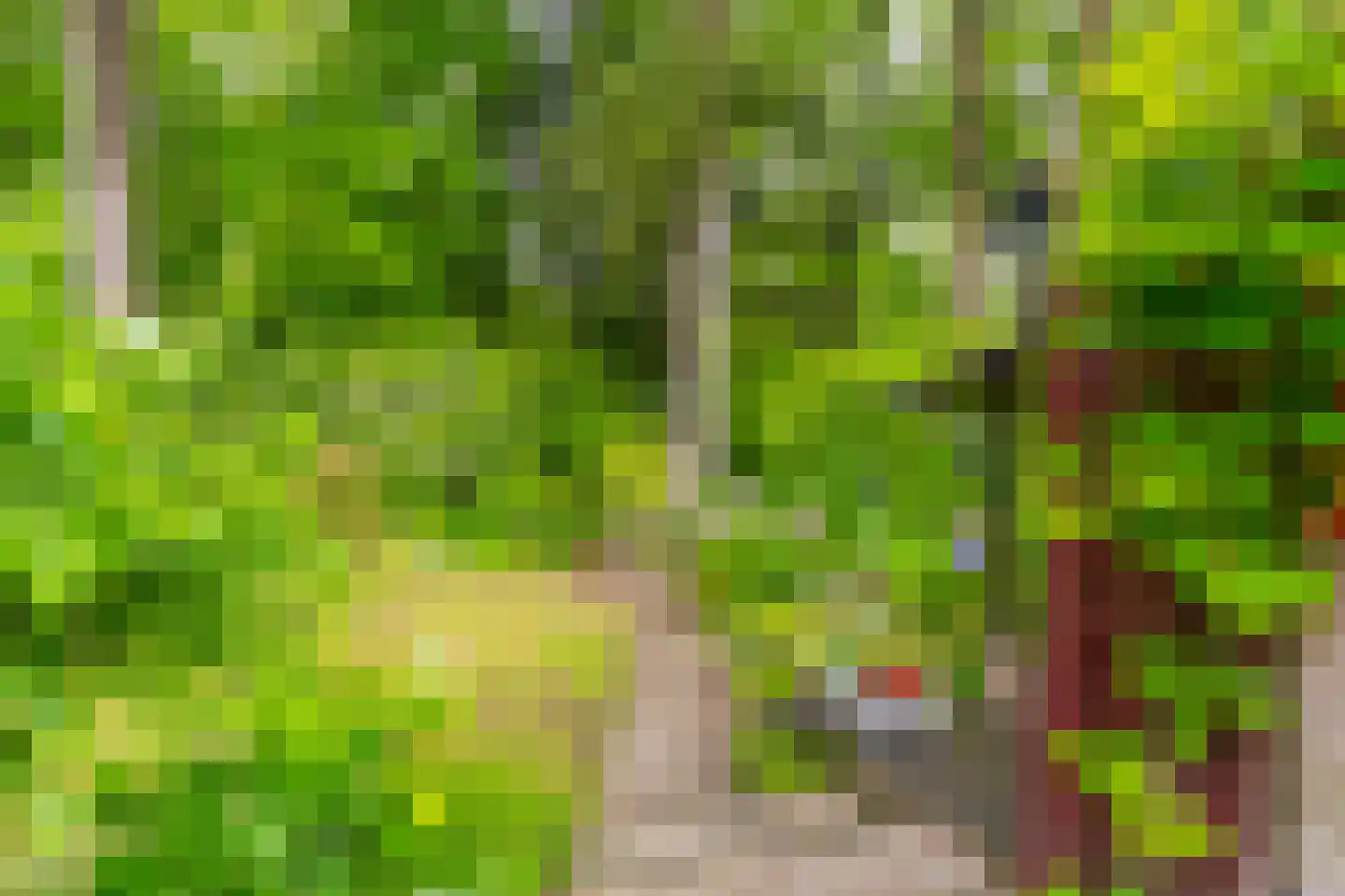 Dopheidelaan 18 Heelsum thumbnail 24