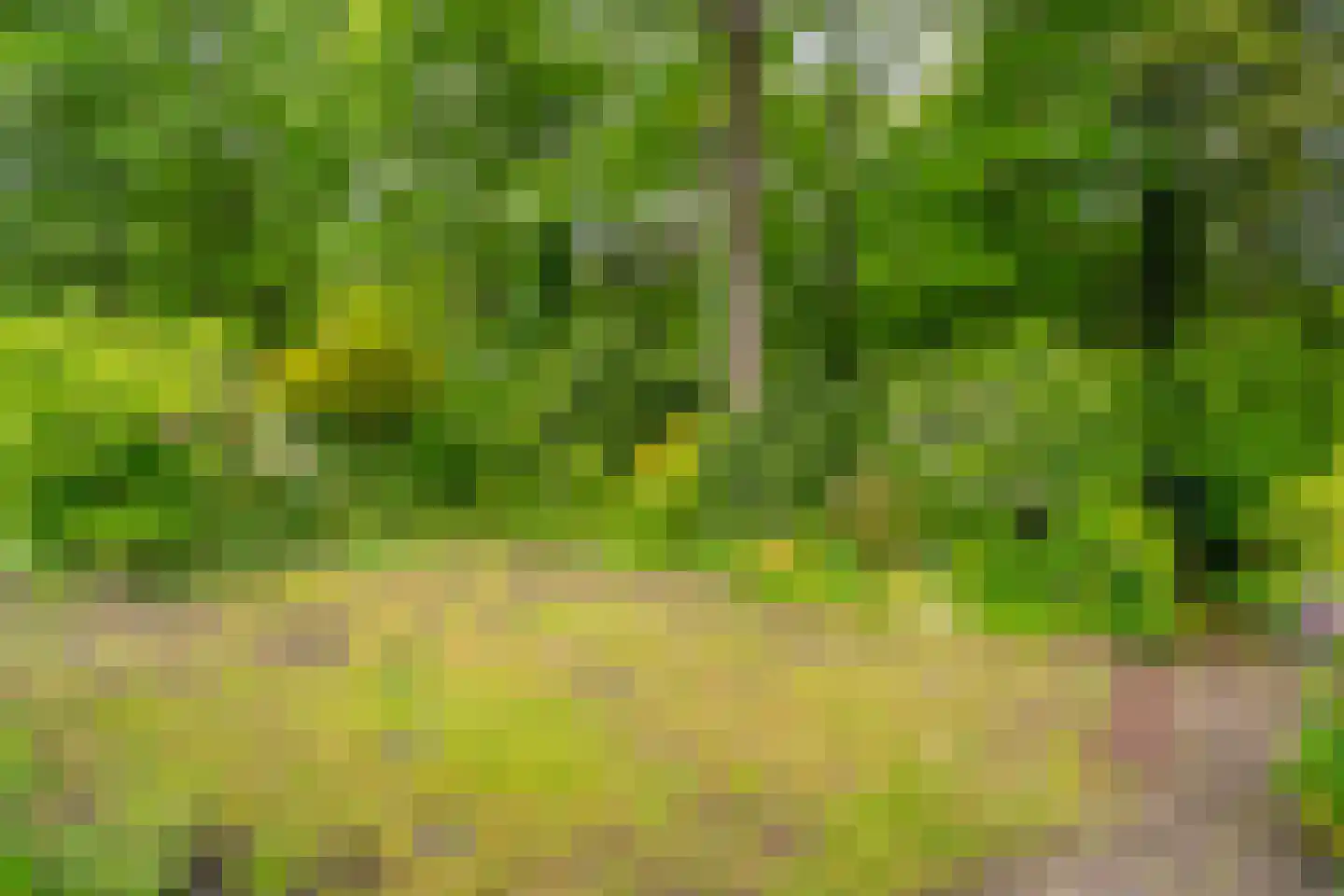 Dopheidelaan 18 Heelsum thumbnail 25