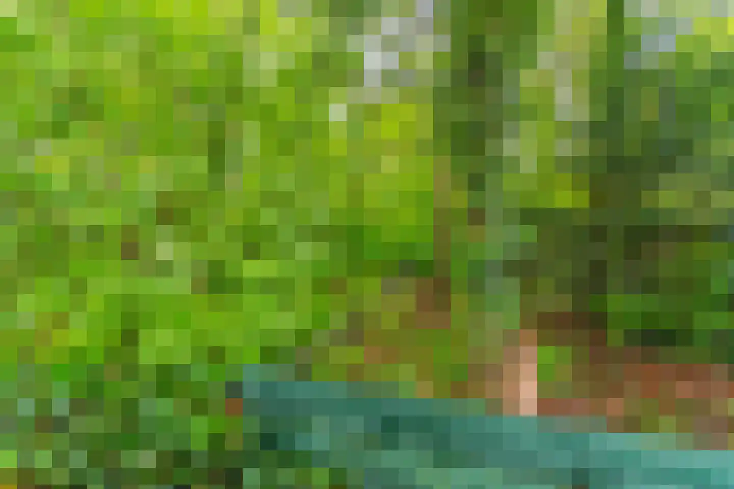 Dopheidelaan 18 Heelsum thumbnail 28