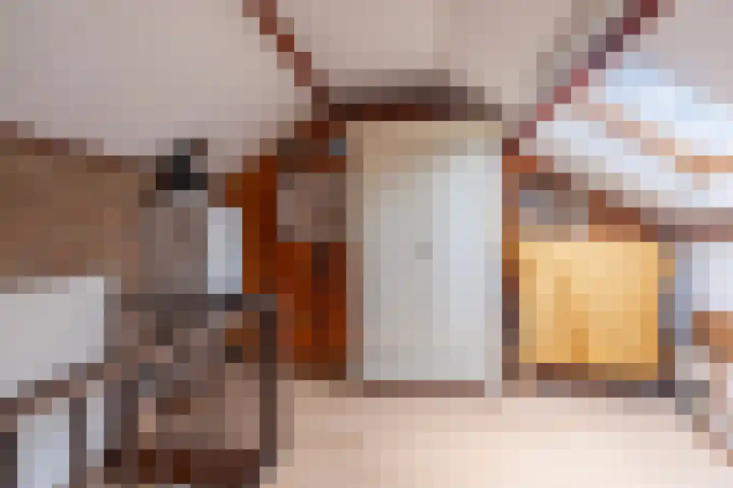 Dopheidelaan 18 Heelsum thumbnail 38