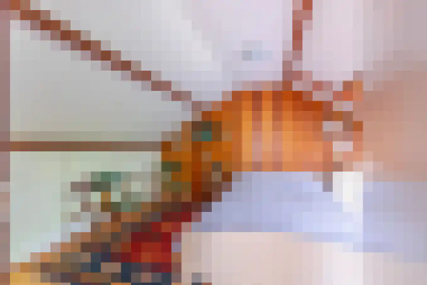 Dopheidelaan 18 Heelsum thumbnail 39