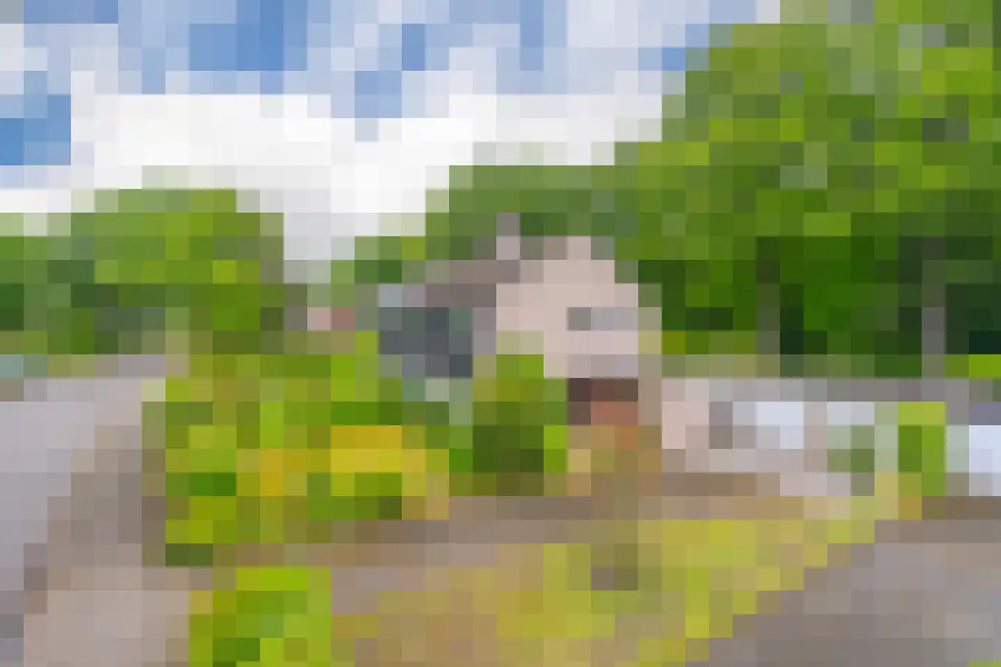 Dopheidelaan 18 Heelsum thumbnail 42