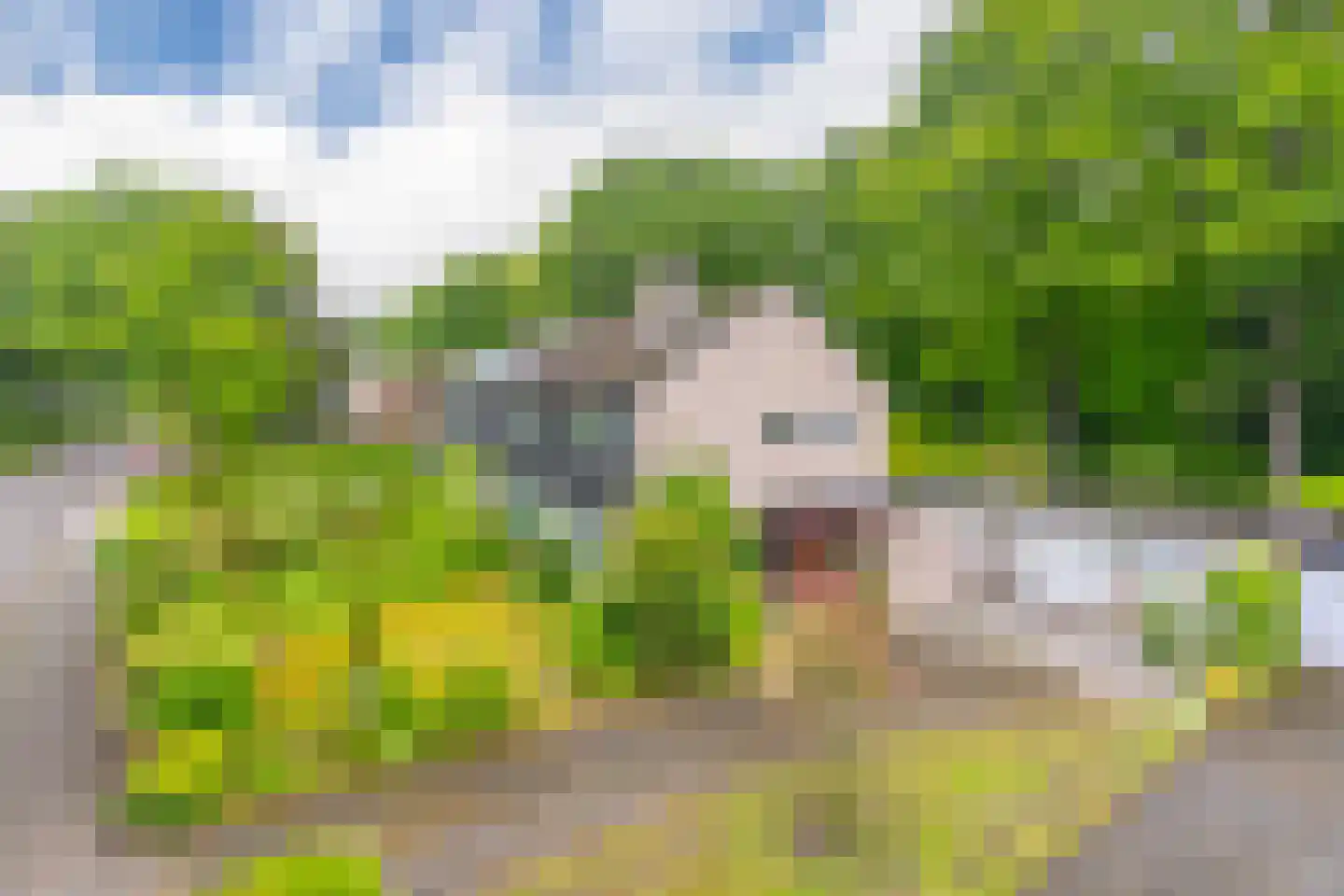 Dopheidelaan 18 Heelsum thumbnail 43