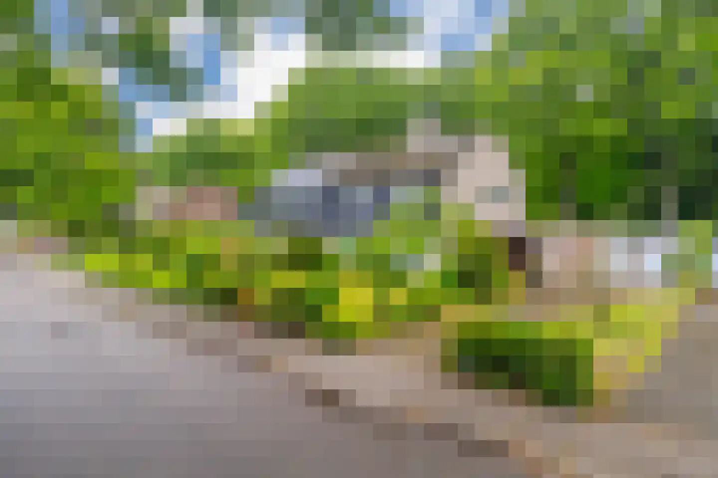 Dopheidelaan 18 Heelsum thumbnail 44