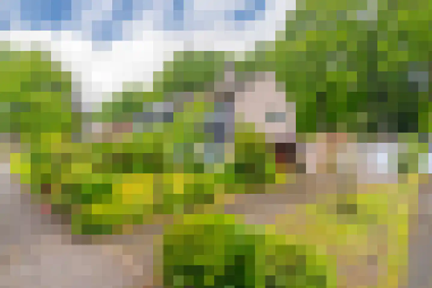 Dopheidelaan 18 Heelsum thumbnail 45
