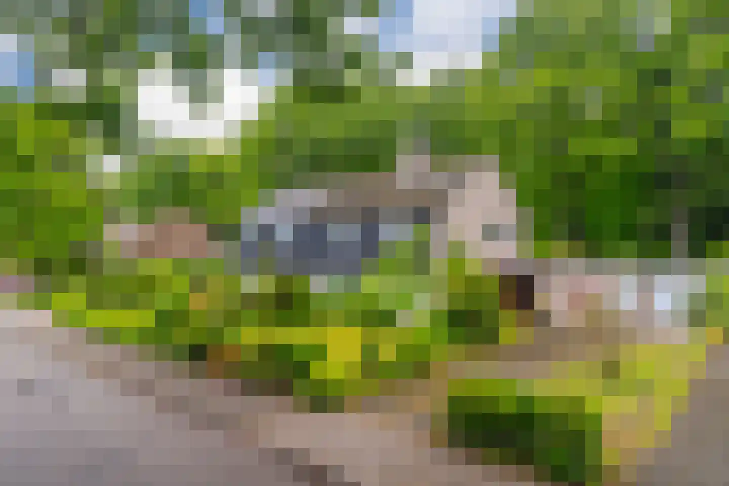 Dopheidelaan 18 Heelsum thumbnail 46