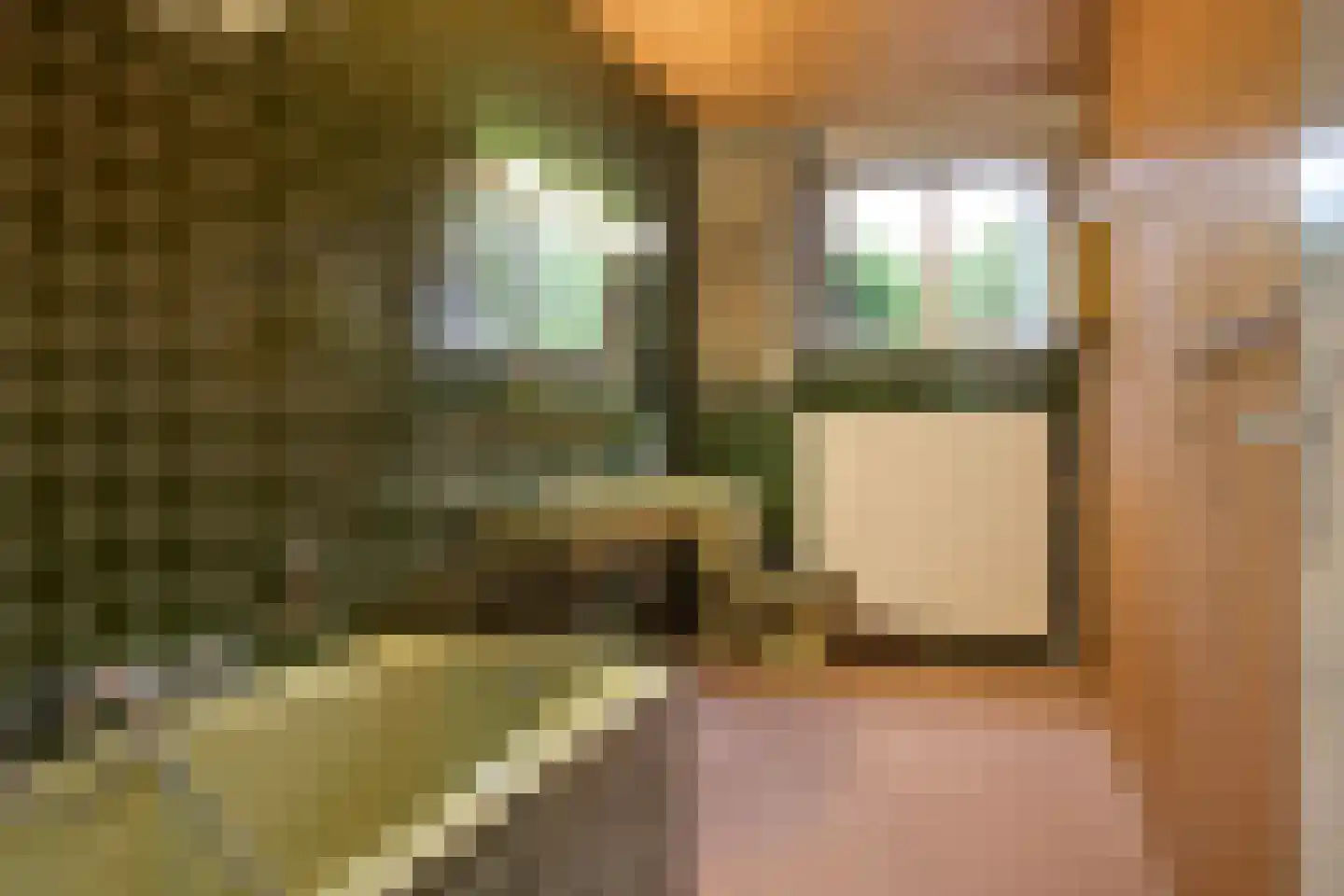 Dopheidelaan 29 Heelsum thumbnail 24