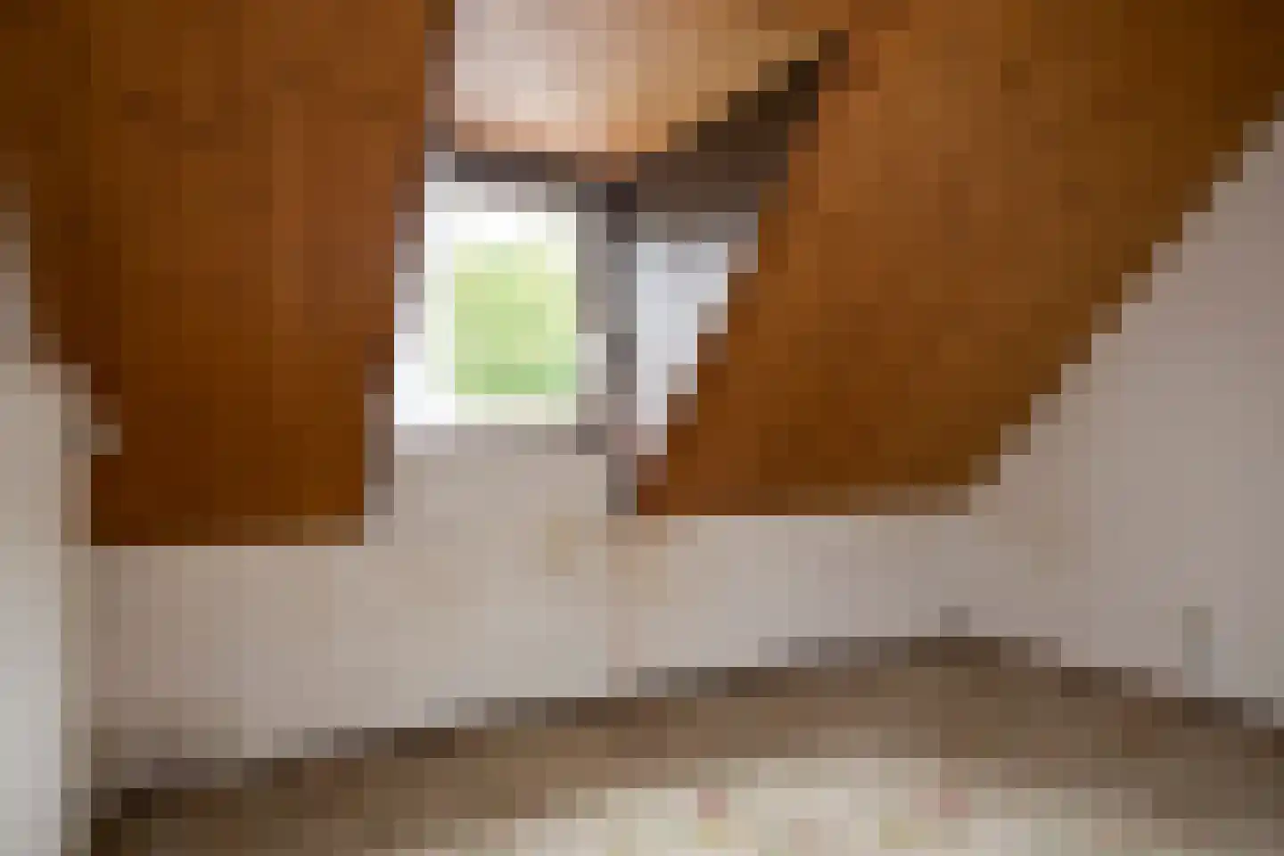 Dopheidelaan 29 Heelsum thumbnail 38