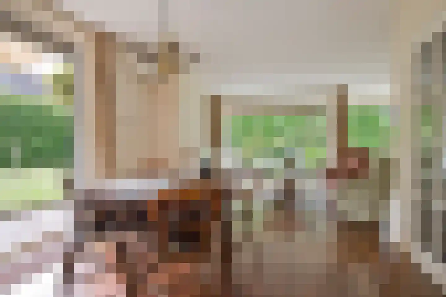 Dopheidelaan 29 Heelsum thumbnail 4