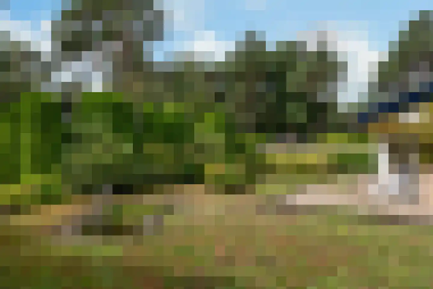 Dopheidelaan 29 Heelsum thumbnail 51