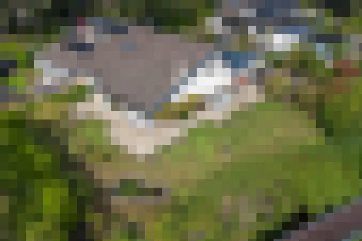 Dopheidelaan 29 Heelsum thumbnail 54