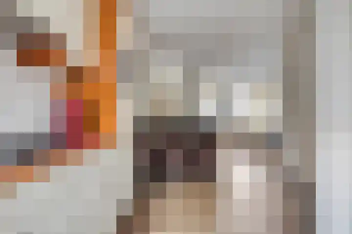Dopheidestraat 12 Hollandscheveld thumbnail 10