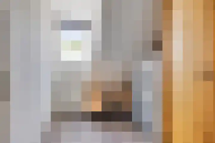 Dopheidestraat 12 Hollandscheveld thumbnail 16