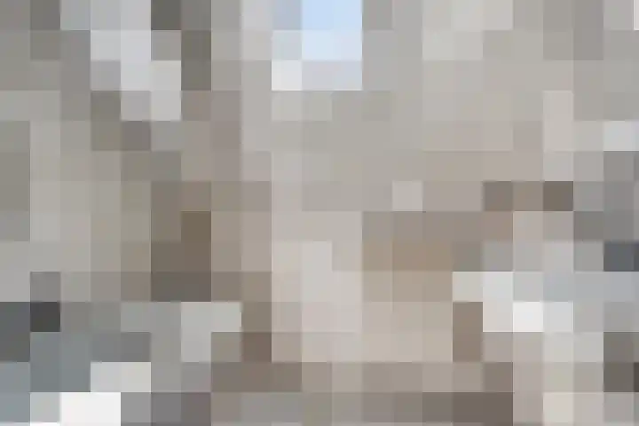 Dopheidestraat 12 Hollandscheveld thumbnail 18