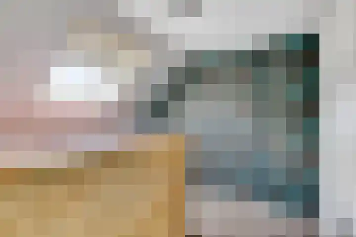 Dopheidestraat 12 Hollandscheveld thumbnail 20