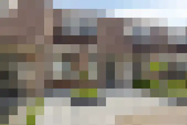 Dopheidestraat 12 Hollandscheveld thumbnail 26