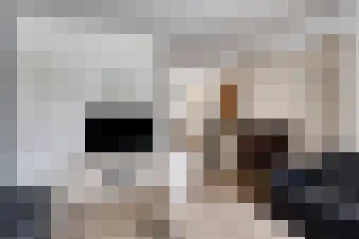 Dopheidestraat 12 Hollandscheveld thumbnail 6