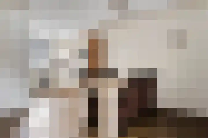 Dopheidestraat 12 Hollandscheveld thumbnail 7