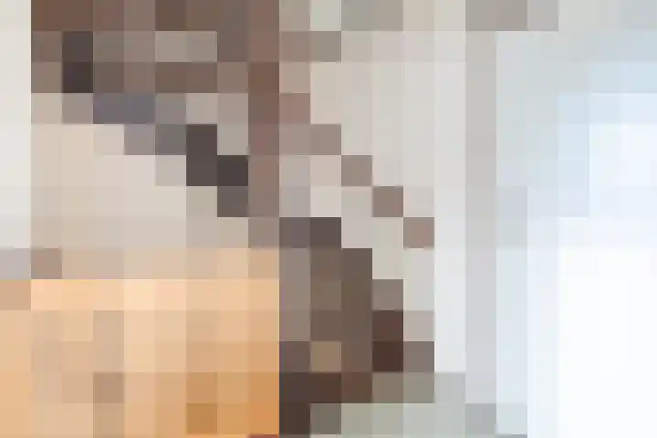 Dopheidestraat 21 Hollandscheveld thumbnail 25