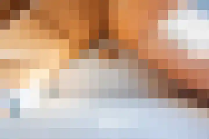 Dopheidestraat 21 Hollandscheveld thumbnail 26