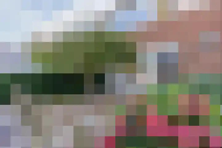 Dopheidestraat 21 Hollandscheveld thumbnail 8