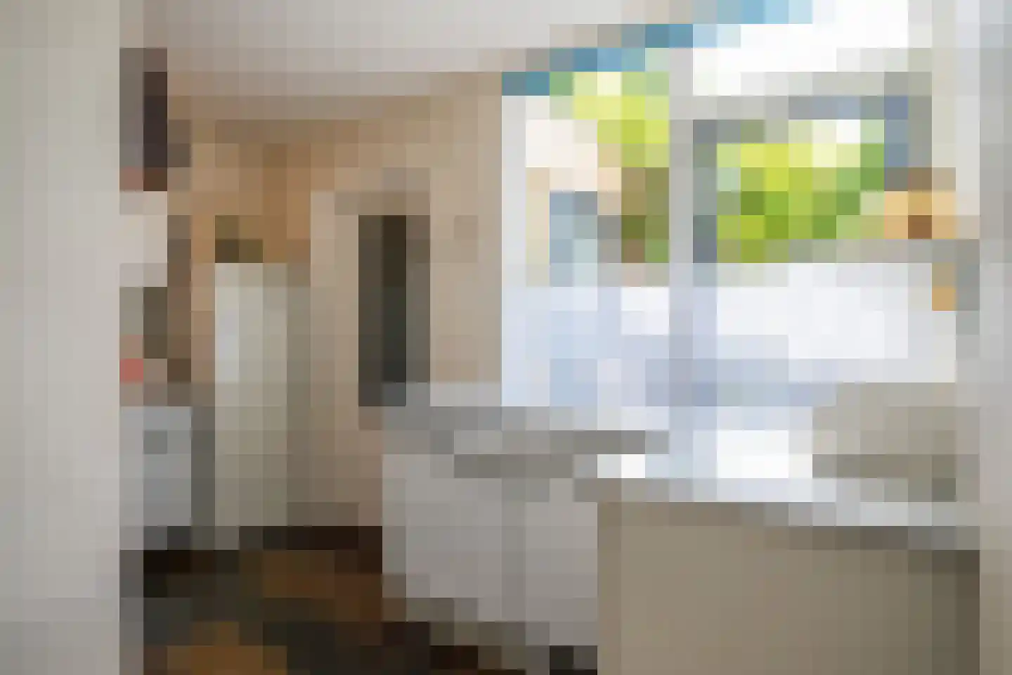 Dopheidestraat 23 Lisserbroek thumbnail 10