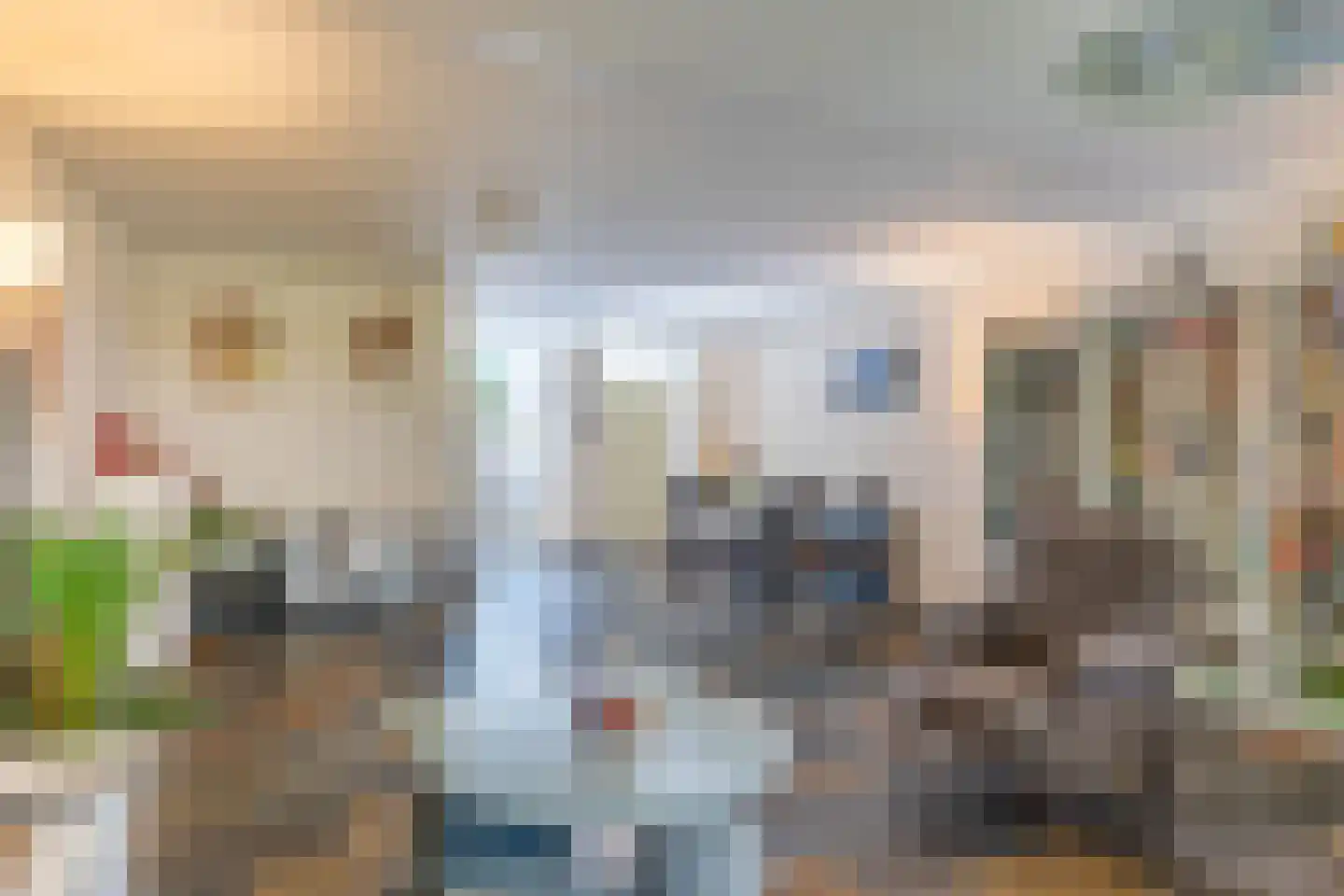 Dopheidestraat 23 Lisserbroek thumbnail 21