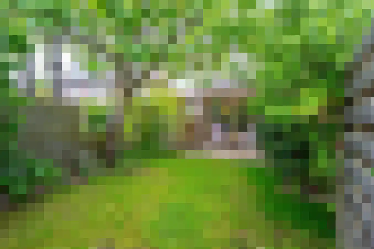 Dopheidestraat 23 Lisserbroek thumbnail 24