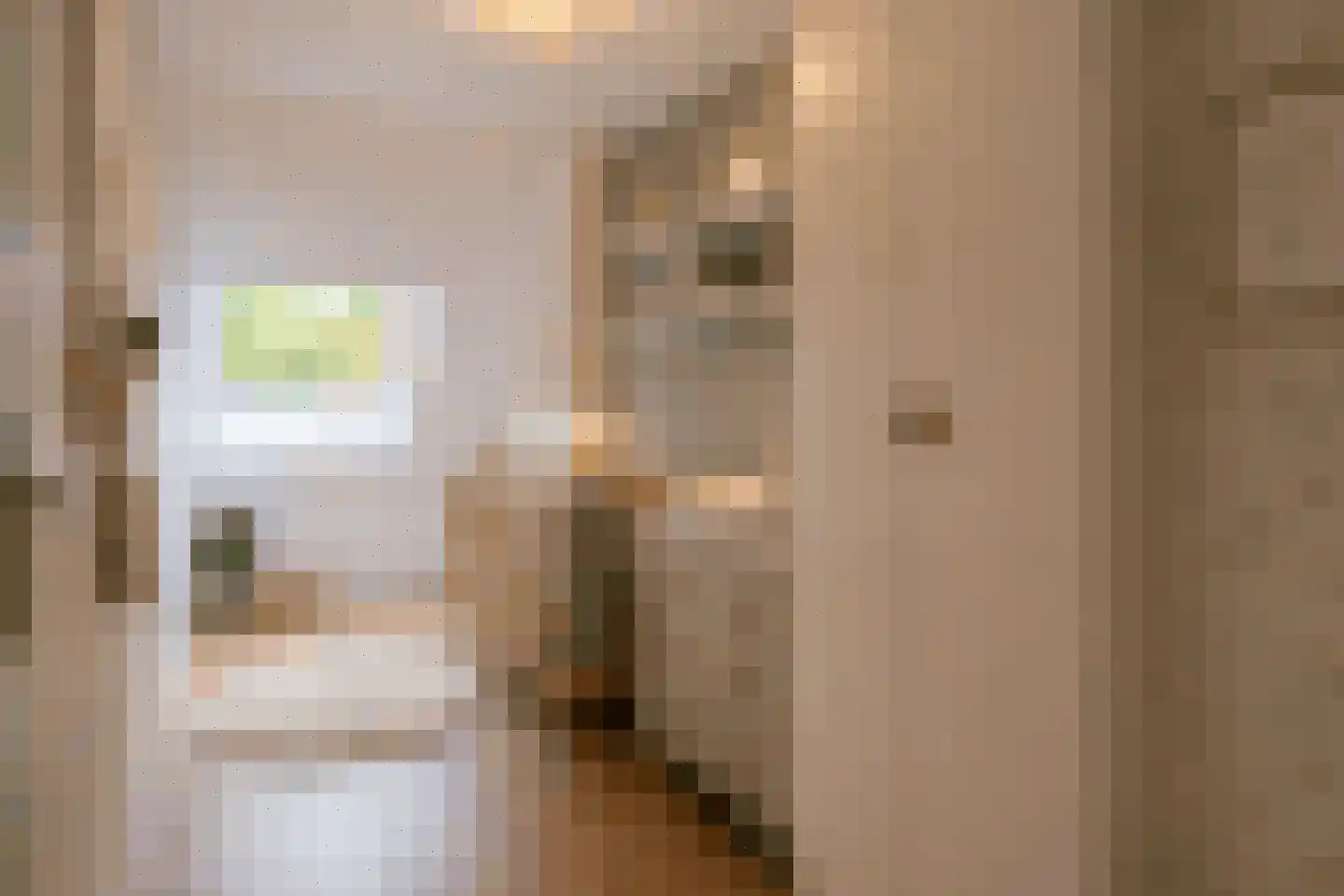 Dopheidestraat 23 Lisserbroek thumbnail 31