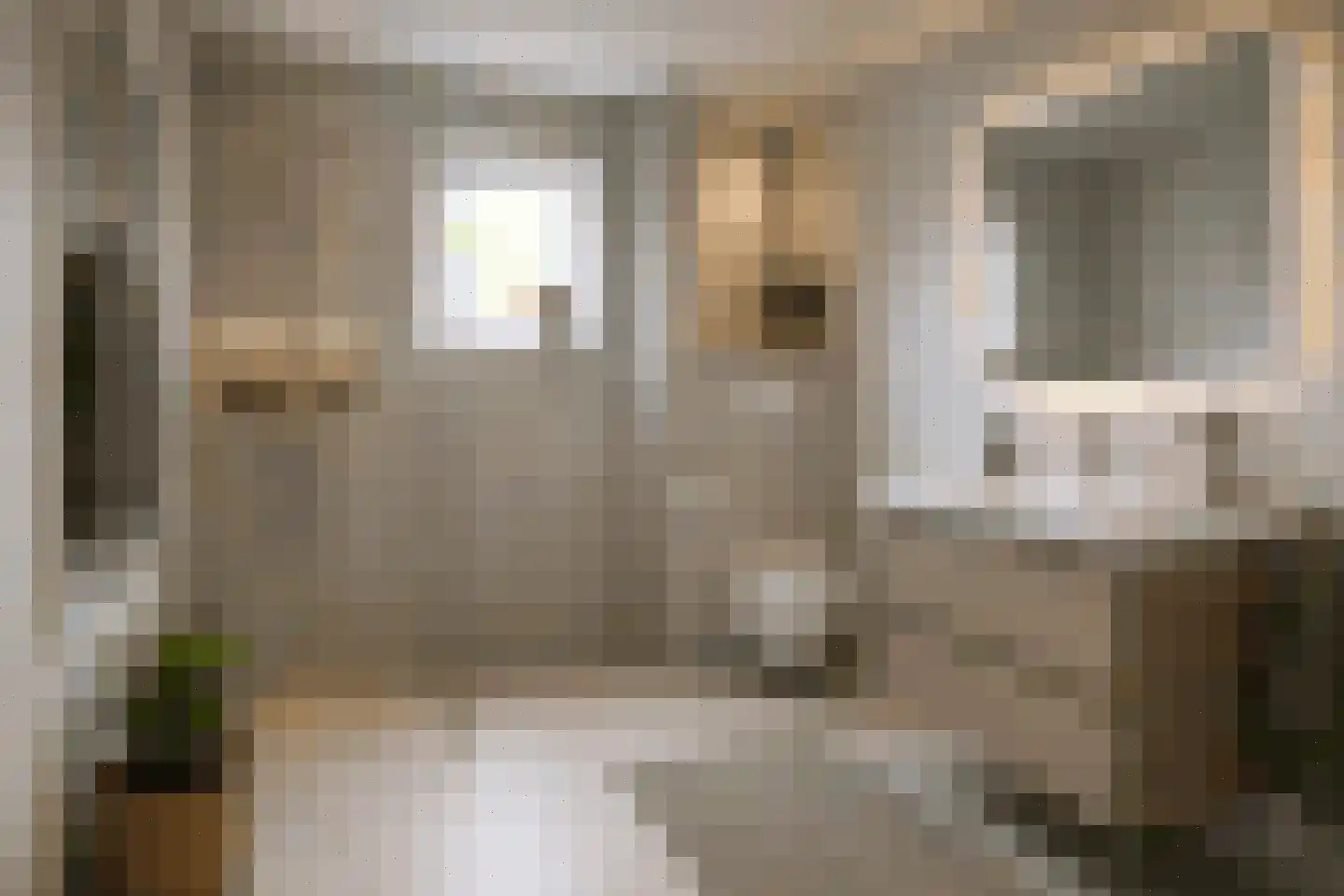 Dopheidestraat 23 Lisserbroek thumbnail 36