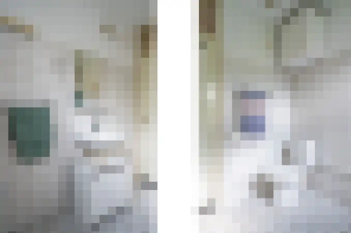 Dopheidestraat 23 Lisserbroek thumbnail 37