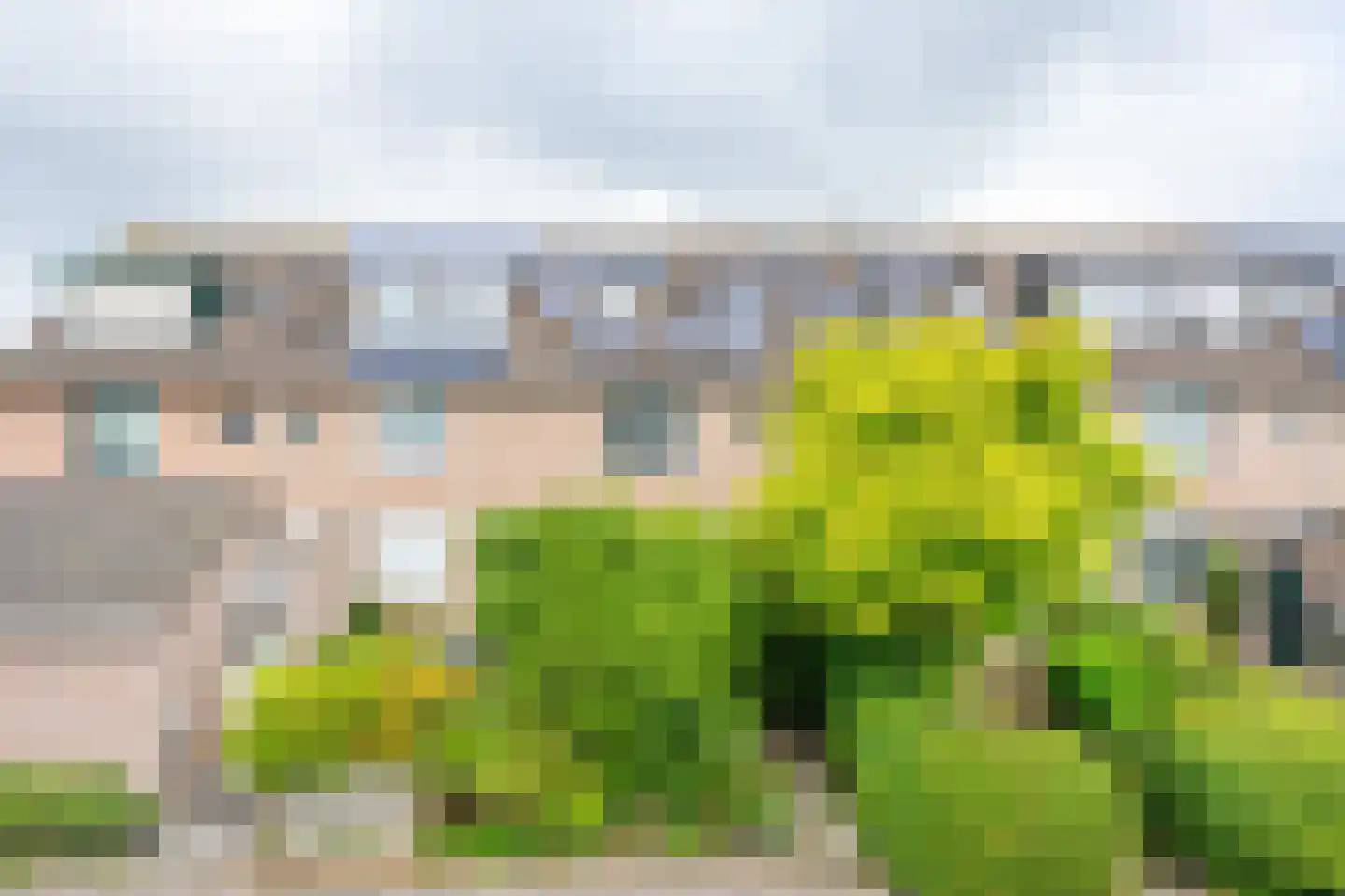 Dopheidestraat 23 Lisserbroek thumbnail 4