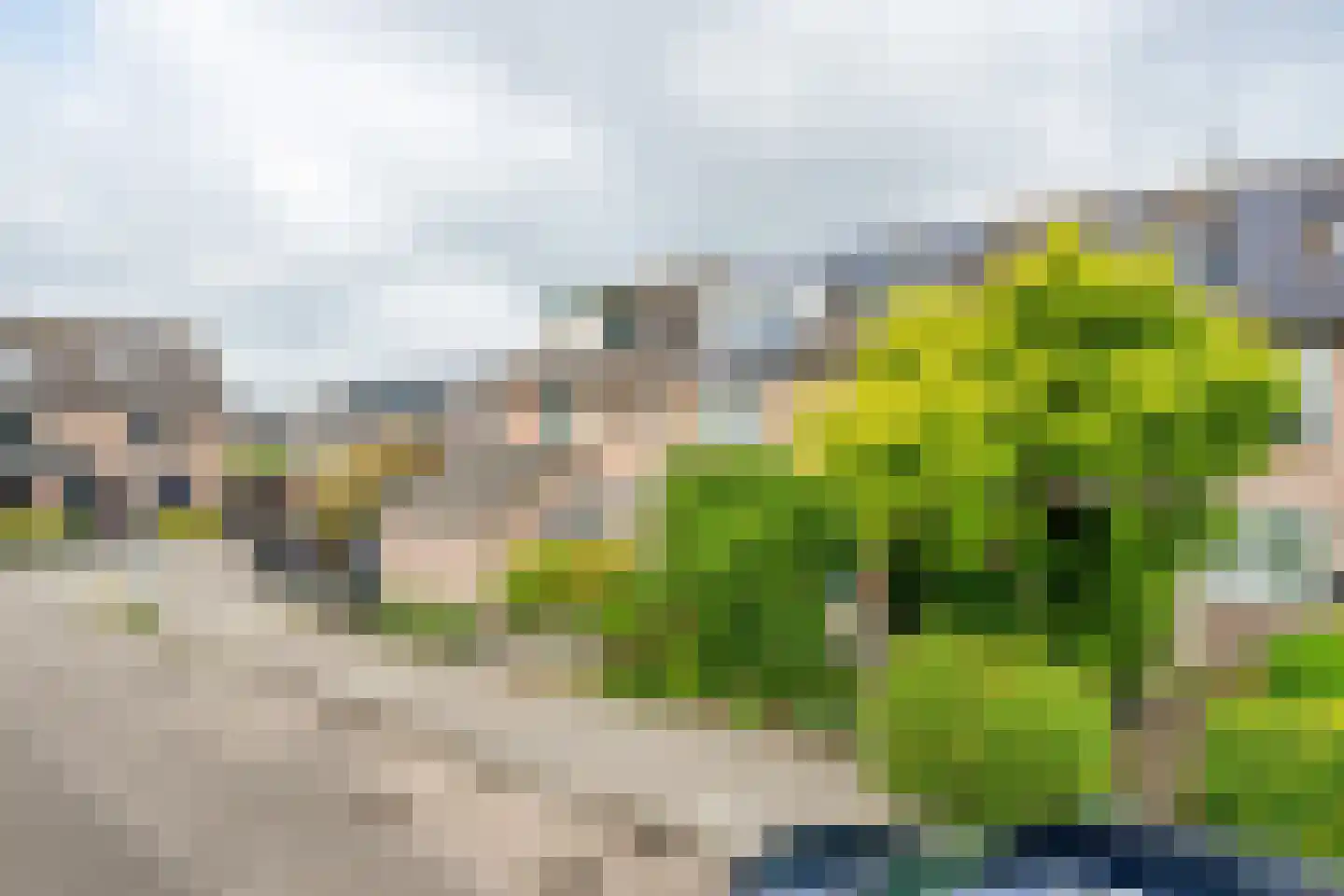 Dopheidestraat 23 Lisserbroek thumbnail 6