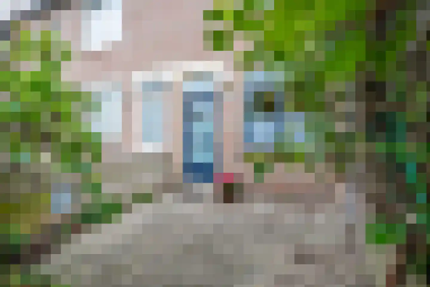 Dopheidestraat 23 Lisserbroek thumbnail 7