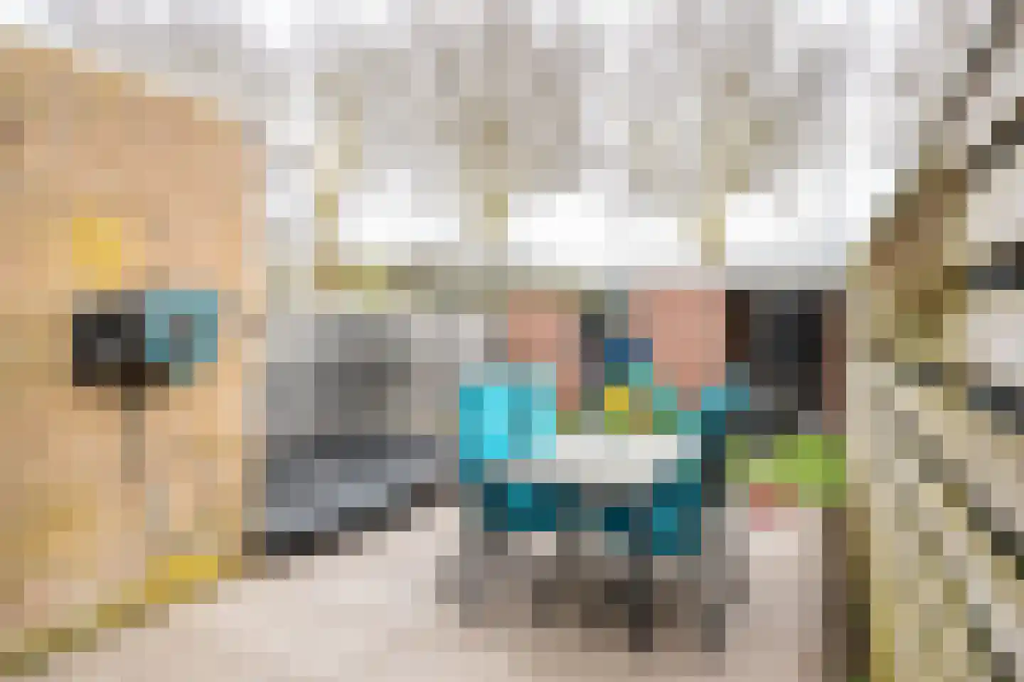 Dopheidestraat 32 Lisserbroek thumbnail 16