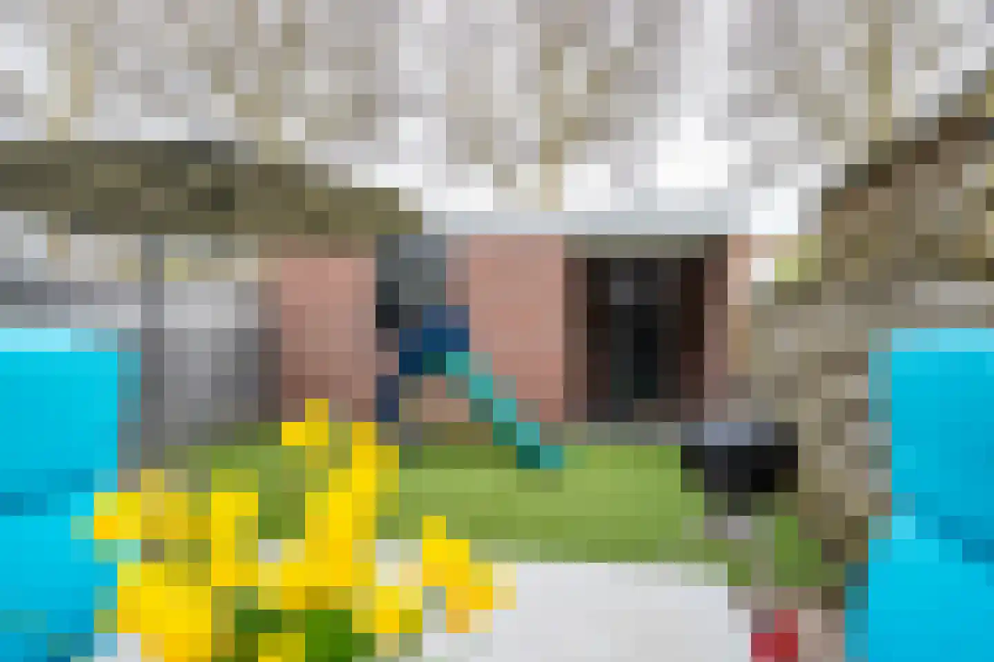 Dopheidestraat 32 Lisserbroek thumbnail 17