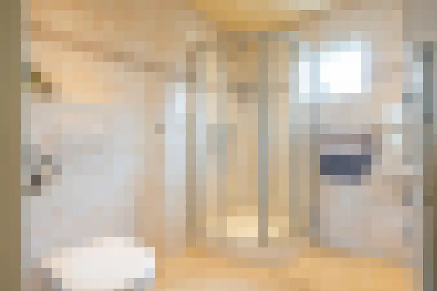 Dopheidestraat 32 Lisserbroek thumbnail 19