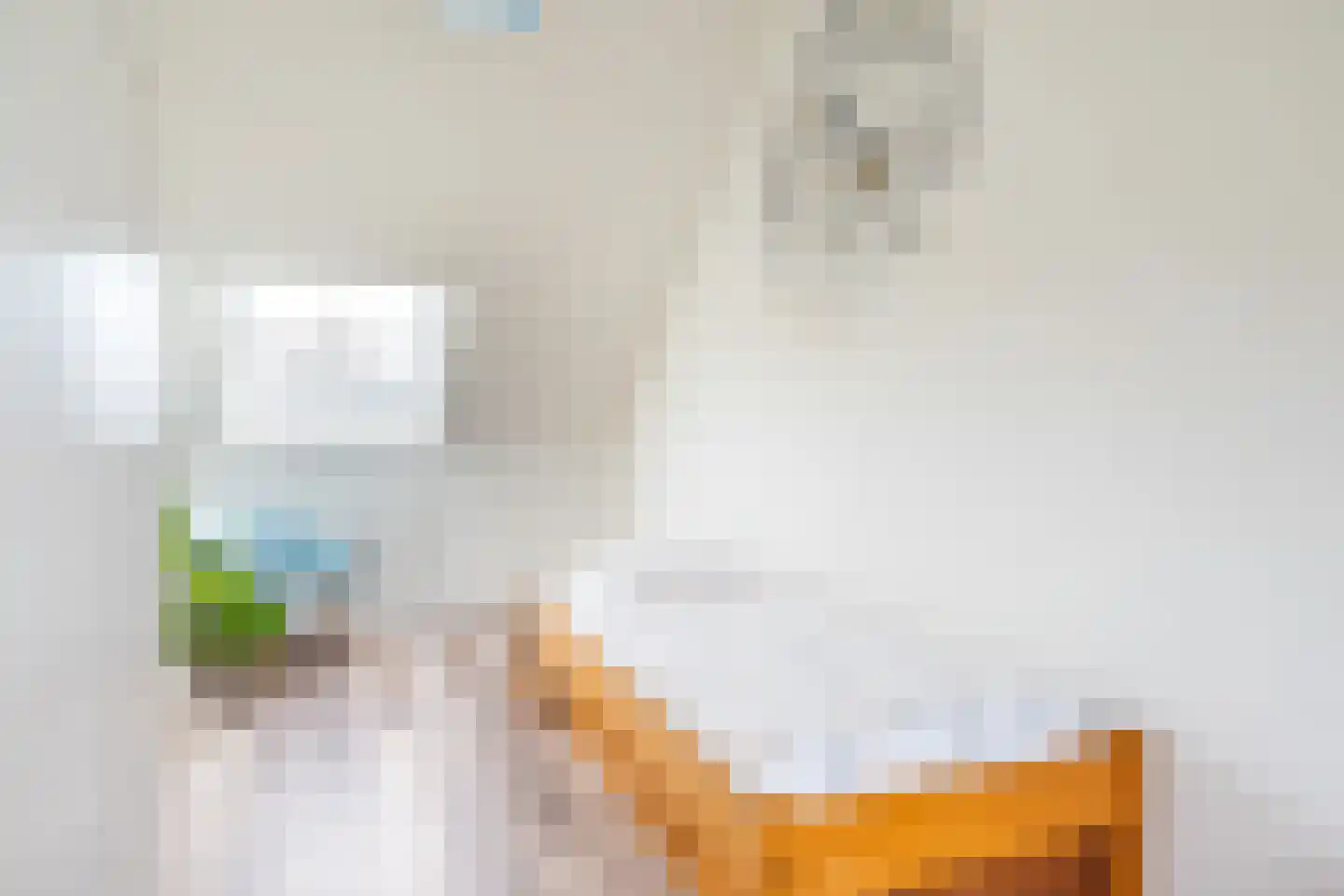 Dopheidestraat 32 Lisserbroek thumbnail 28