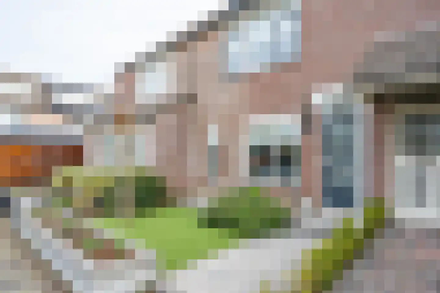 Dopheidestraat 32 Lisserbroek thumbnail 7