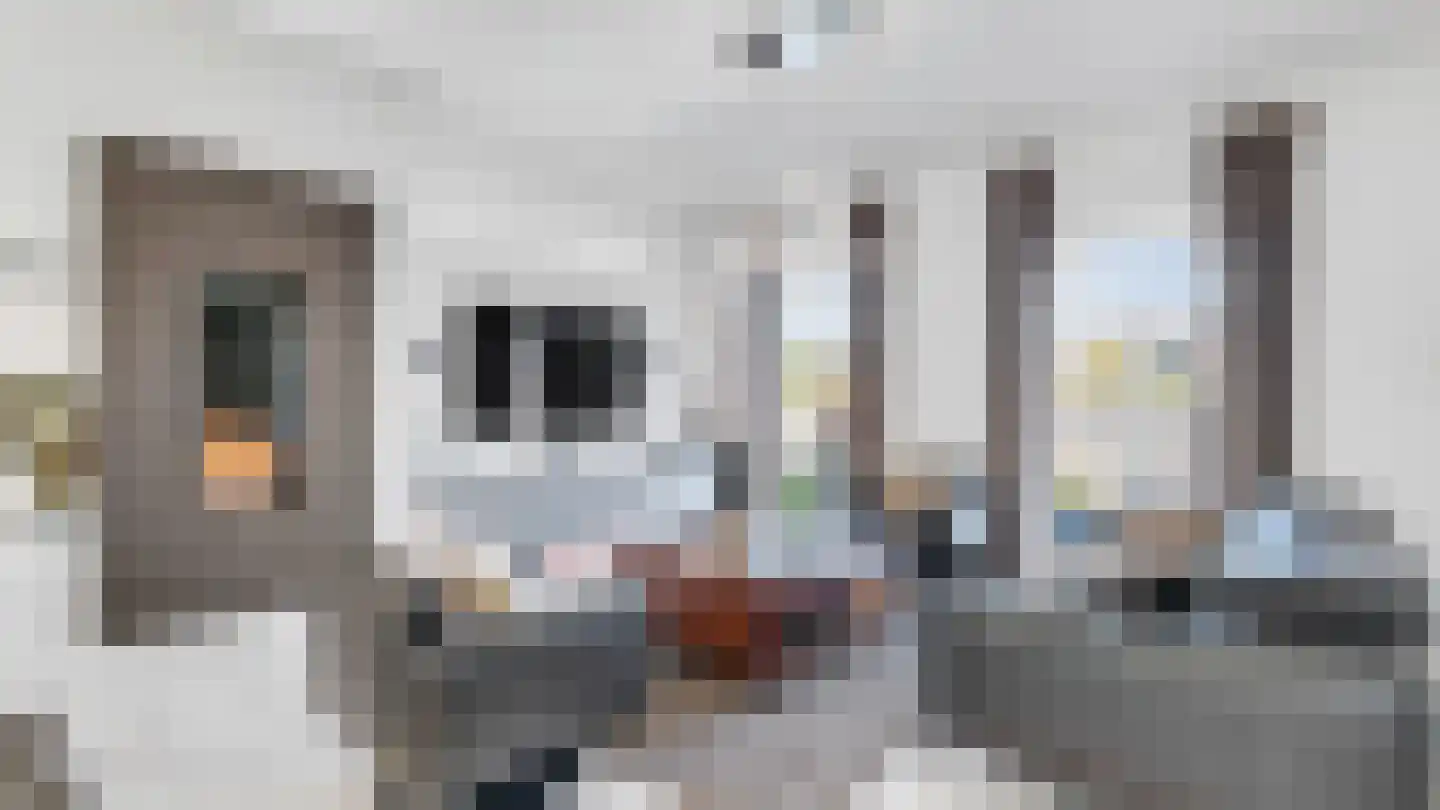 Dopheidestraat 3650 Dilsen-Stokkem Lisserbroek thumbnail 10