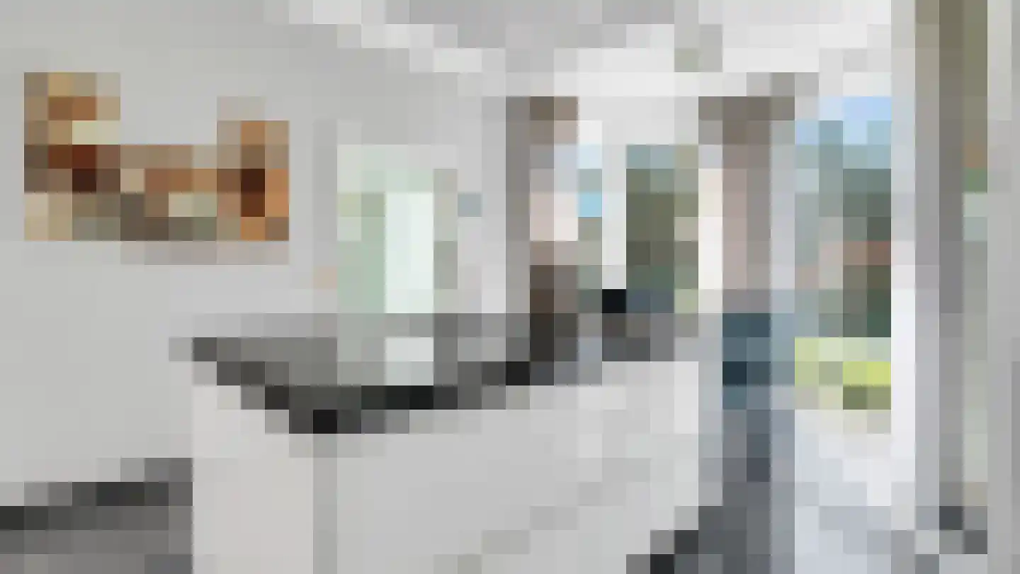 Dopheidestraat 3650 Dilsen-Stokkem Lisserbroek thumbnail 12
