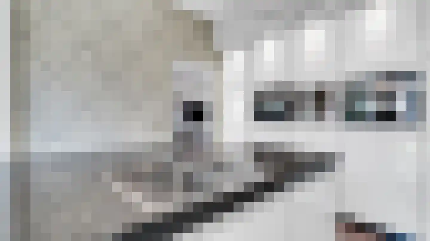 Dopheidestraat 3650 Dilsen-Stokkem Lisserbroek thumbnail 14