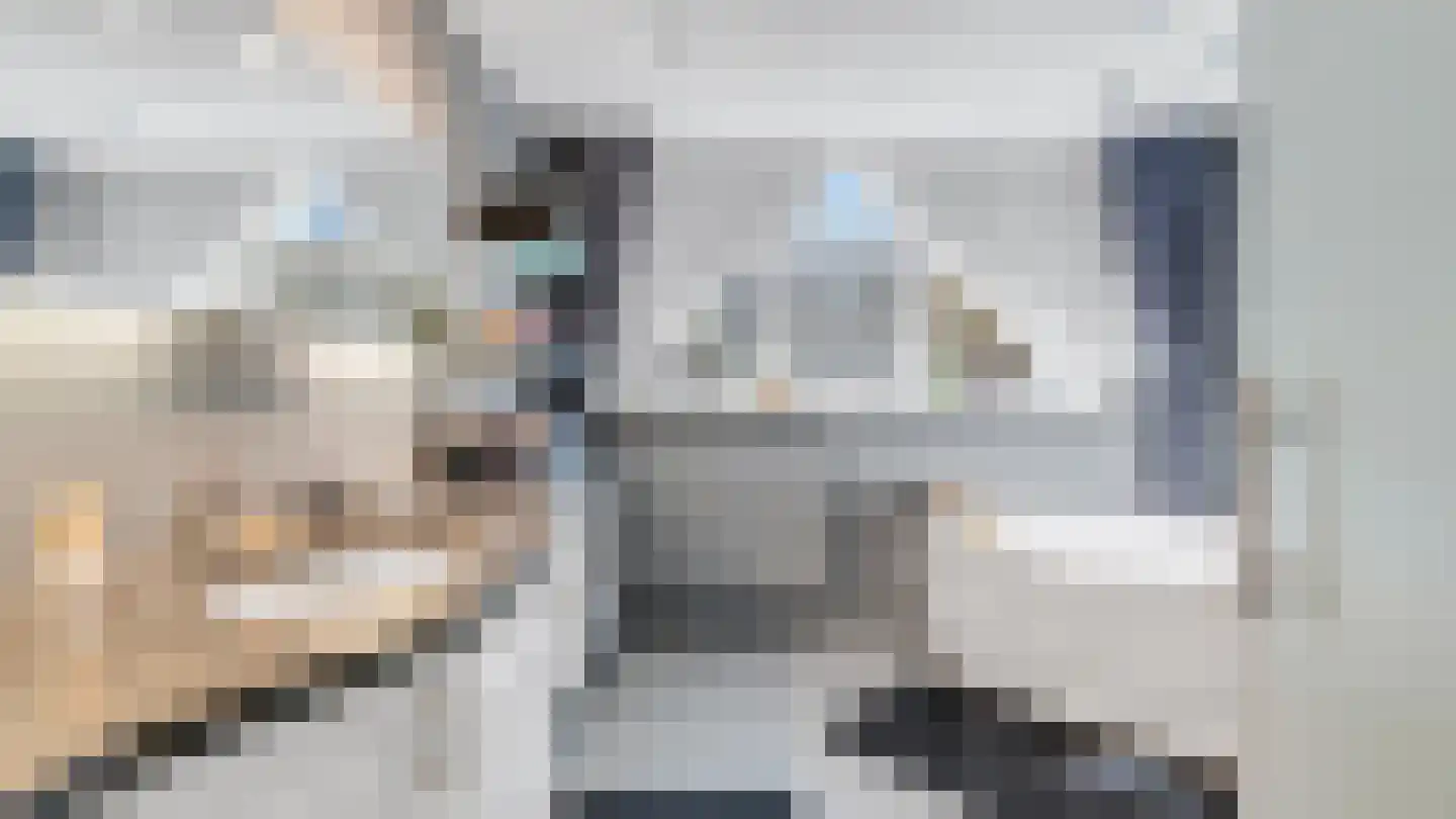 Dopheidestraat 3650 Dilsen-Stokkem Lisserbroek thumbnail 27