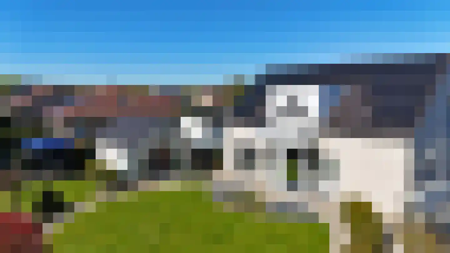 Dopheidestraat 3650 Dilsen-Stokkem Lisserbroek thumbnail 41