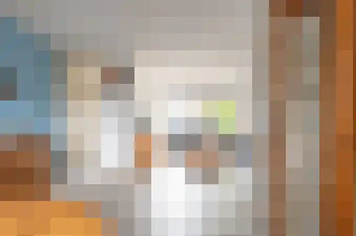 Dopheidestraat 45 Lisserbroek thumbnail 15